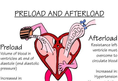 what is preload and afterload in the heart